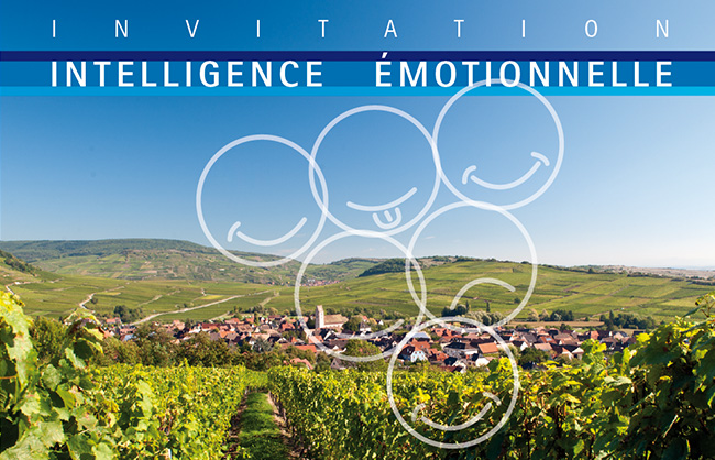 Plénière "Intelligence Emotionnelle" le lundi 9 avril au domaine viticole François Braun à Orschwihr